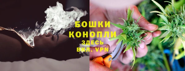 таблы Бородино