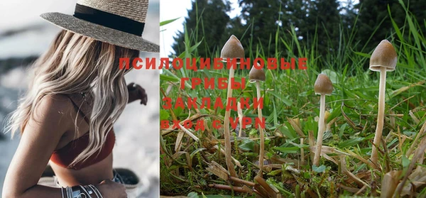 таблы Бородино