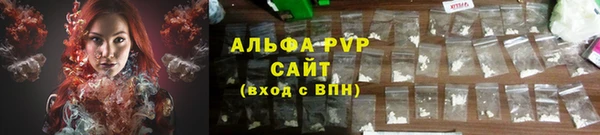 крисы Бронницы