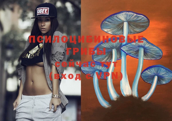 крисы Бронницы
