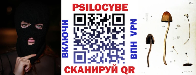 Купить где Курск Псилоцибиновые грибы мицелий